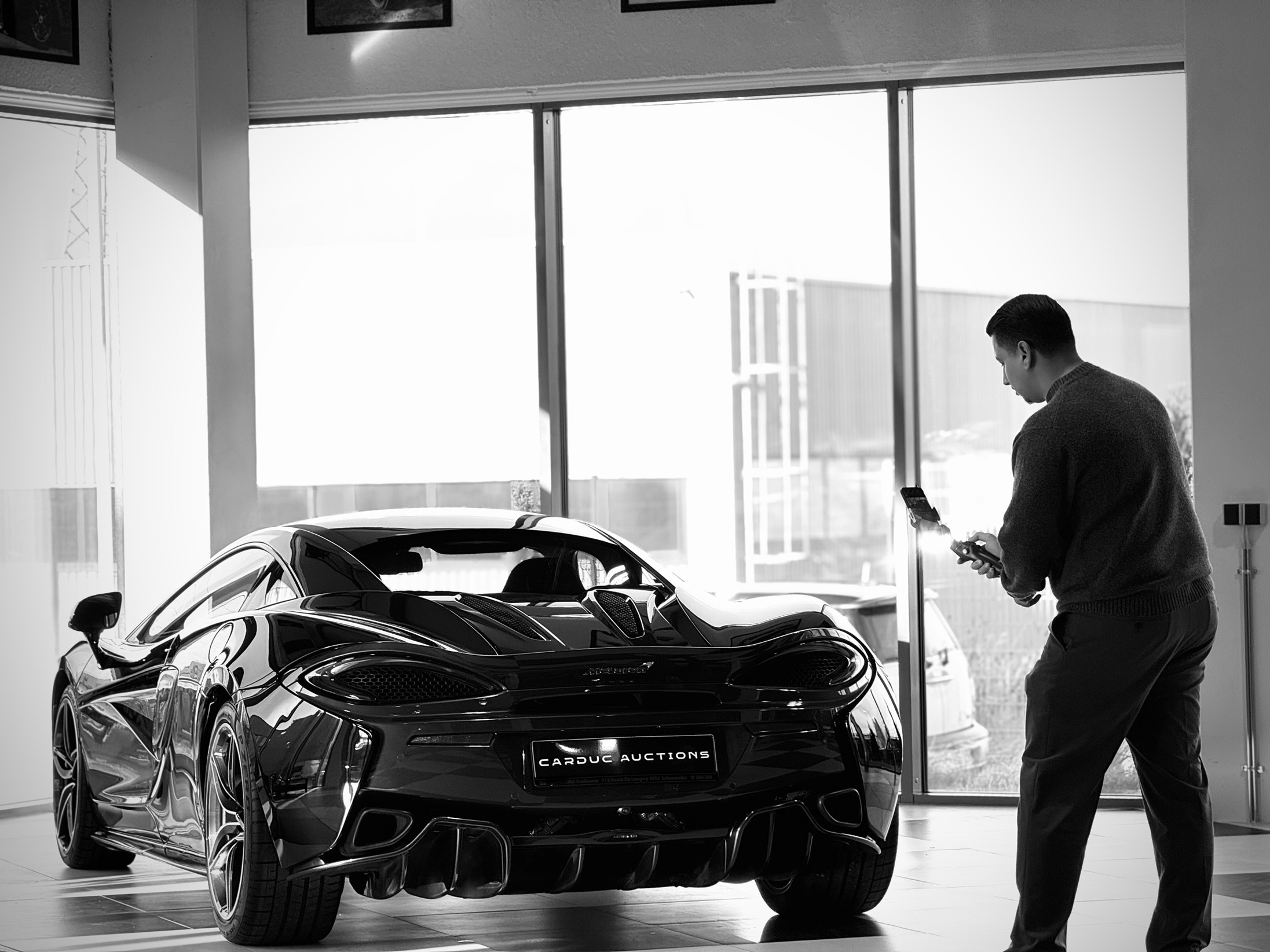 Mise en valeur professionnelle